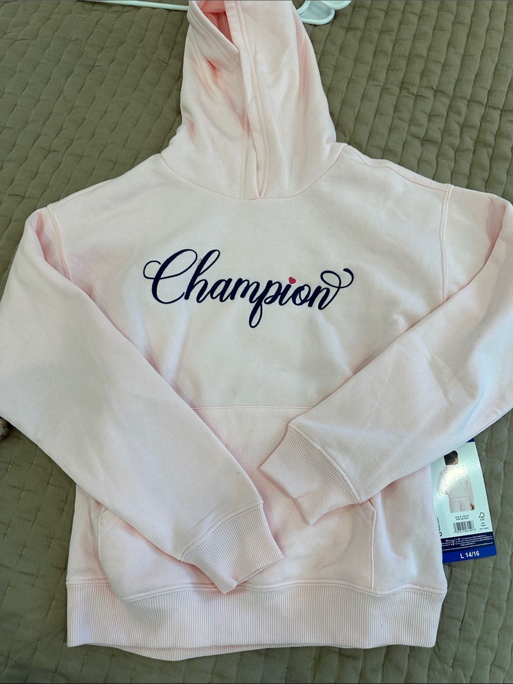 Champion Light Pink Script Logo Hoodie